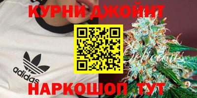 круглые Кингисепп