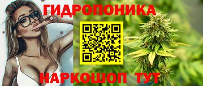 круглые Кингисепп