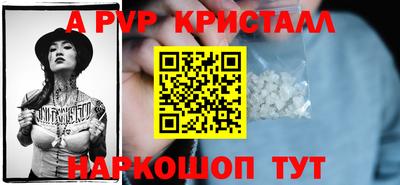 круглые Кингисепп