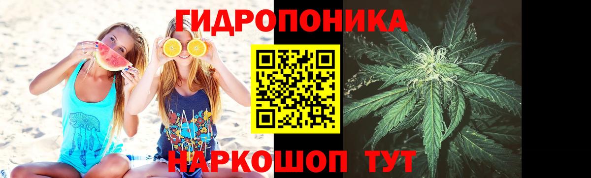 Бошки Шишки гибрид Костомукша